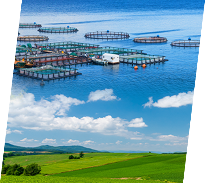 労働者派遣事業