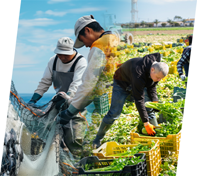 漁業・農業分野への特定技能派遣事業