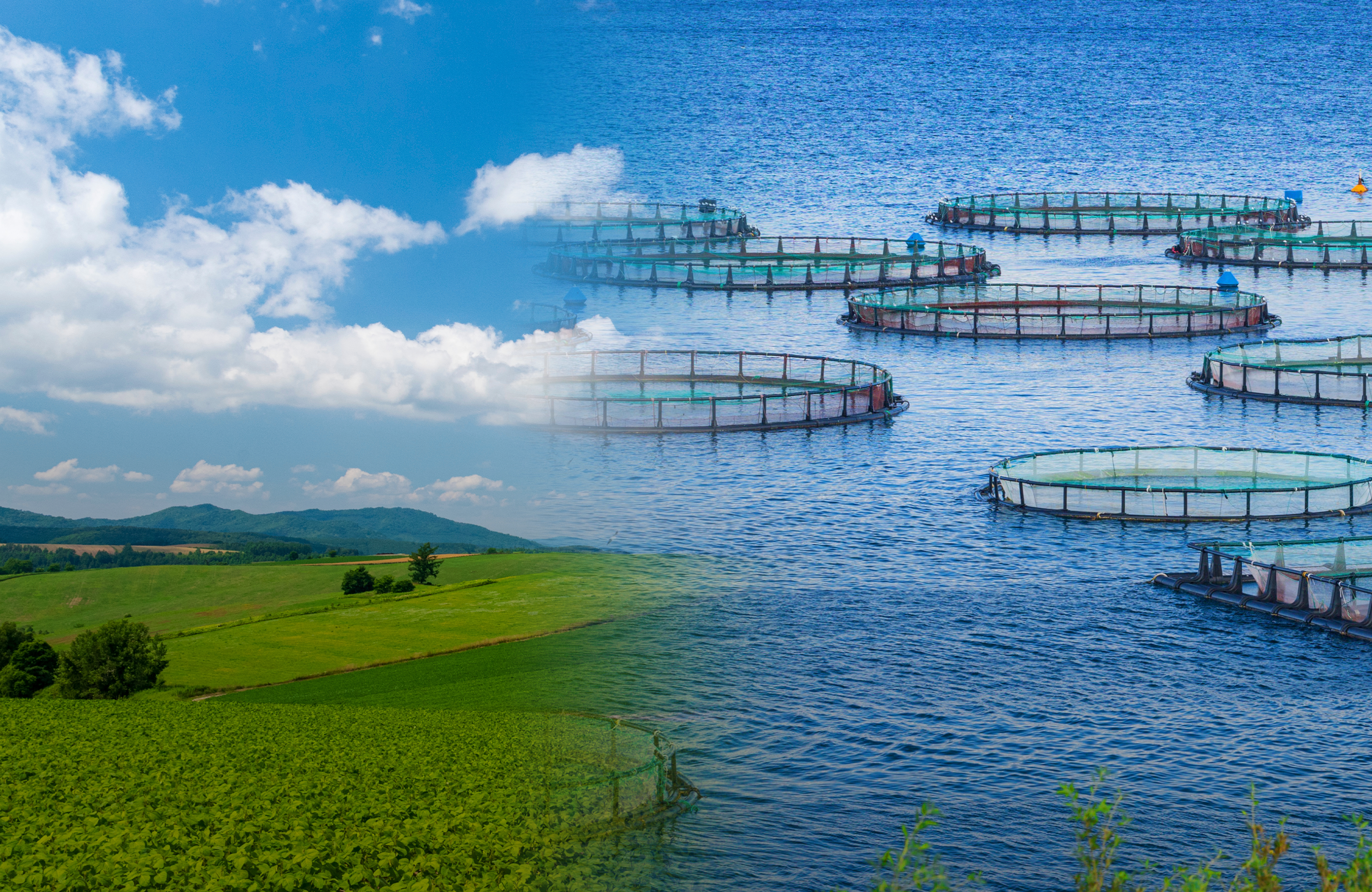 画像：キービジュアル2枚目