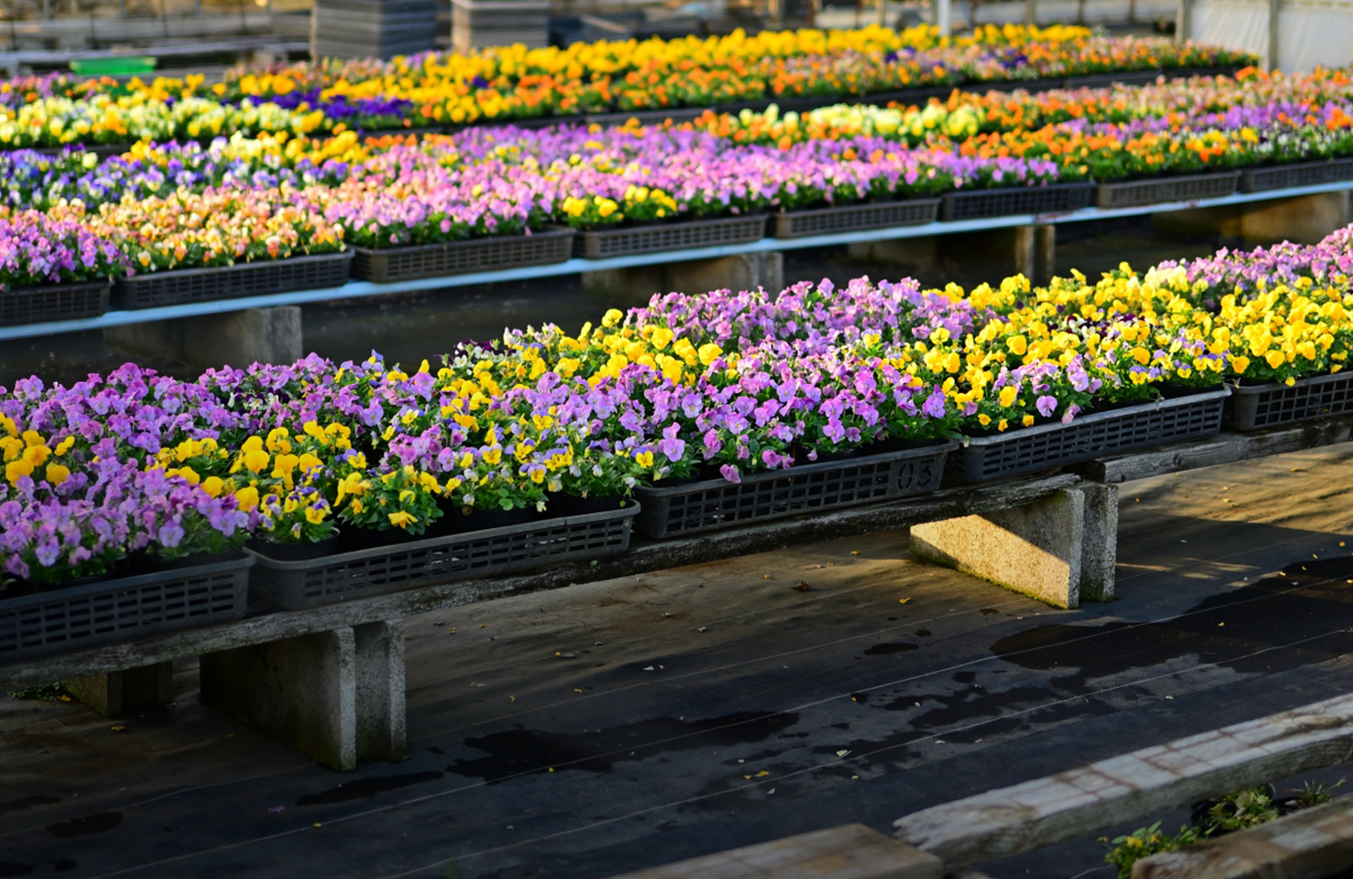 画像：キービジュアル5枚目