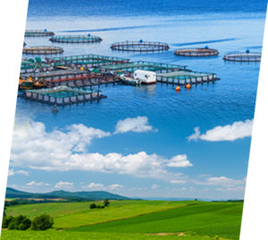 労働者派遣事業